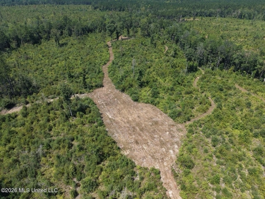 147± Acre Hunting Property in Plainview, LA