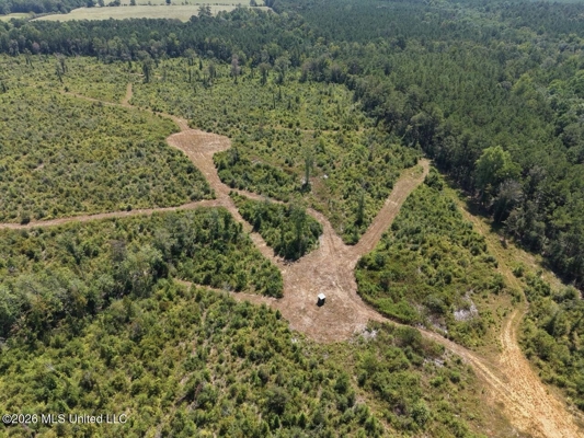 147± Acre Hunting Property in Plainview, LA