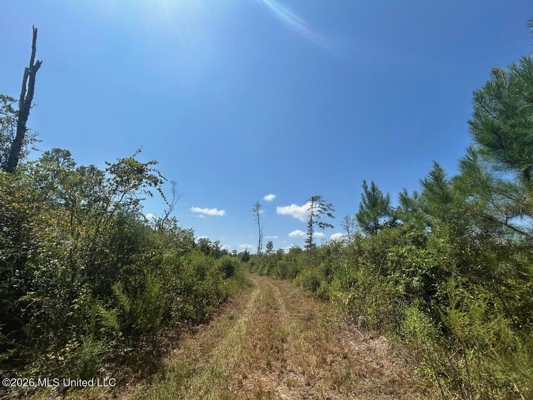 147± Acre Hunting Property in Plainview, LA
