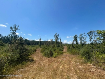 Listing 75