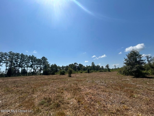 147± Acre Hunting Property in Plainview, LA