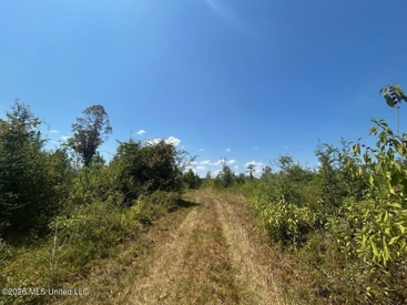 Listing 75