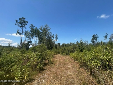 Listing 75