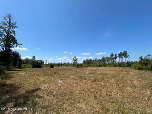 147± Acre Hunting Property in Plainview, LA