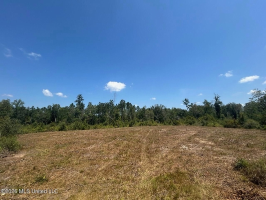 147± Acre Hunting Property in Plainview, LA