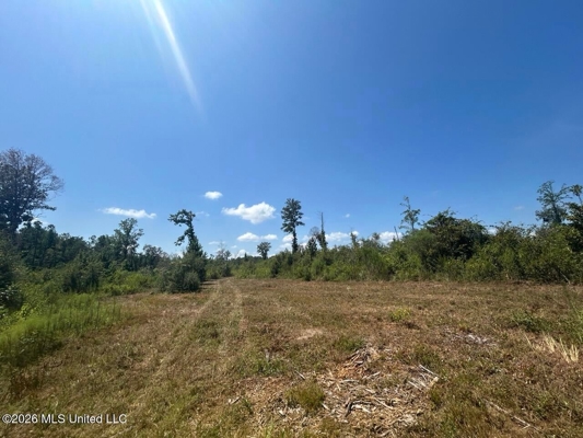 147± Acre Hunting Property in Plainview, LA