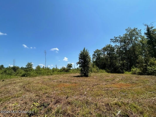 147± Acre Hunting Property in Plainview, LA
