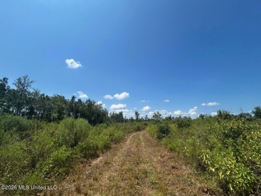 Listing 75