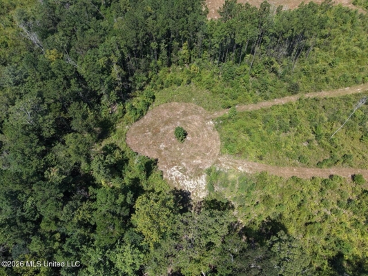 147± Acre Hunting Property in Plainview, LA