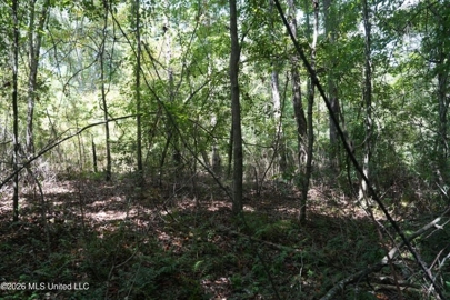 Listing 222
