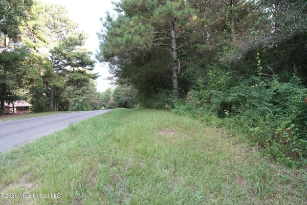 14 Acres for Sale Near Louin MS | Jasper County Land