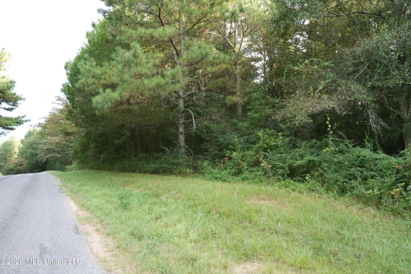 14 Acres for Sale Near Louin MS | Jasper County Land