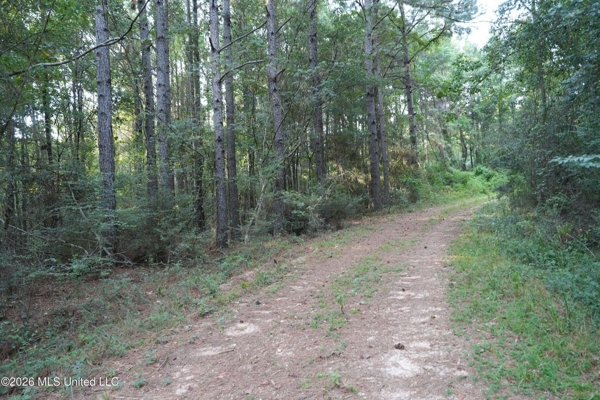 14 Acres for Sale Near Louin MS | Jasper County Land