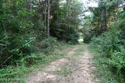 Listing 239