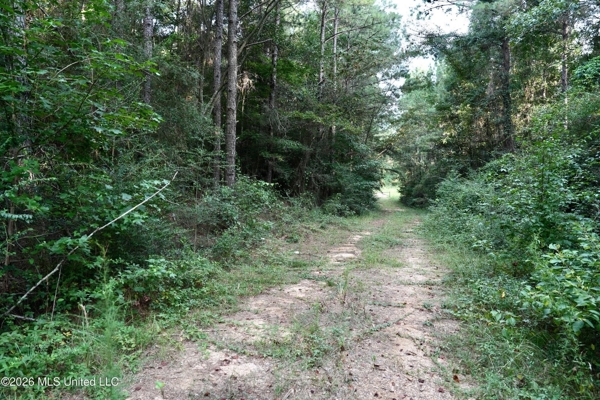 14 Acres for Sale Near Louin MS | Jasper County Land