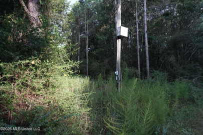 Listing 239