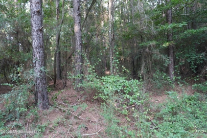 Listing 239
