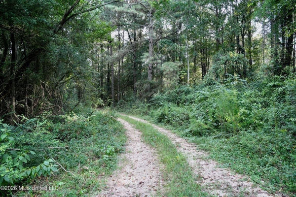 14 Acres for Sale Near Louin MS | Jasper County Land