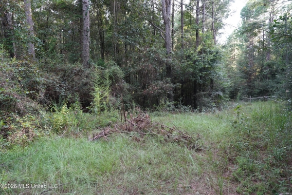 14 Acres for Sale Near Louin MS | Jasper County Land