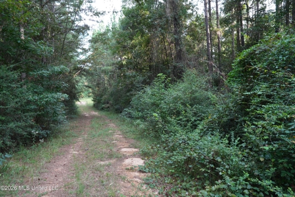 14 Acres for Sale Near Louin MS | Jasper County Land