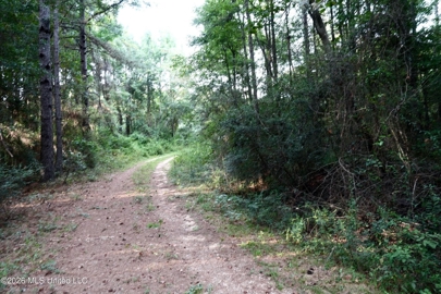 Listing 239