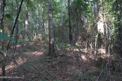 Listing 239