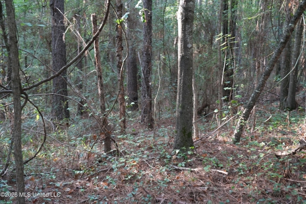 14 Acres for Sale Near Louin MS | Jasper County Land