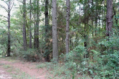 Listing 239