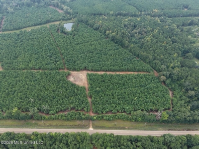 53± Acre Hunting Property Near Centreville, MS - image 6