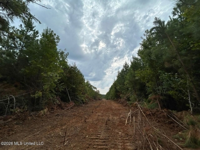 53± Acre Hunting Property Near Centreville, MS - image 23