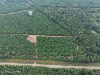 53± Acre Hunting Property Near Centreville, MS - image 5