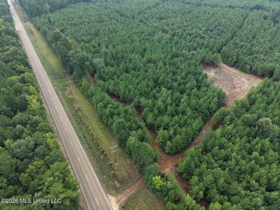 53± Acre Hunting Property Near Centreville, MS - image 18