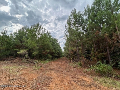 53± Acre Hunting Property Near Centreville, MS - image 28