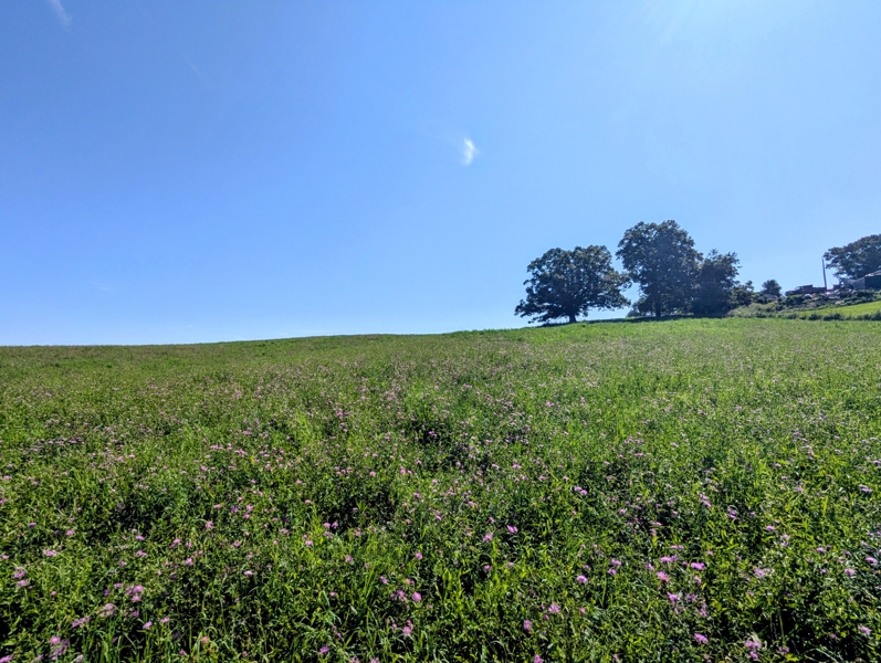 No Caption