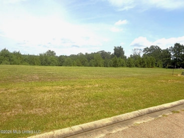Listing 241