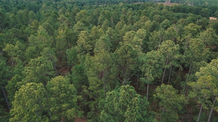Affordable Union Parish Land for Sale - image 18