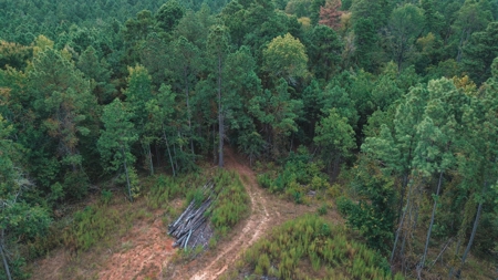 Affordable Union Parish Land for Sale - image 17