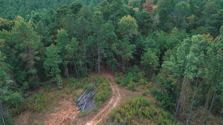 Affordable Union Parish Land for Sale
