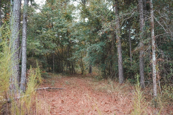 Affordable Union Parish Land for Sale
