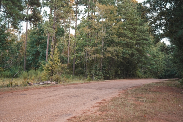 Affordable Union Parish Land for Sale