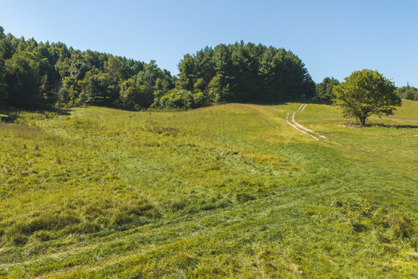 Large Recreational Tract for Sale in Bent Mountain VA