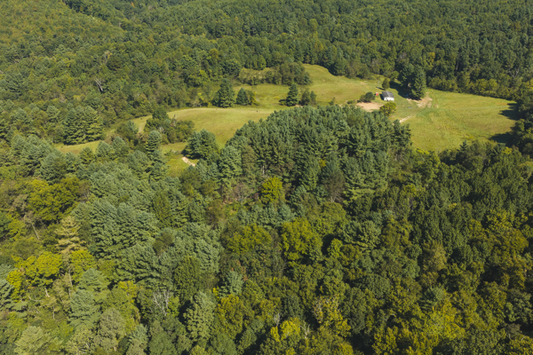 Large Recreational Tract for Sale in Bent Mountain VA