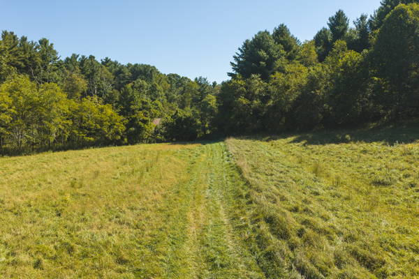 Large Recreational Tract for Sale in Bent Mountain VA