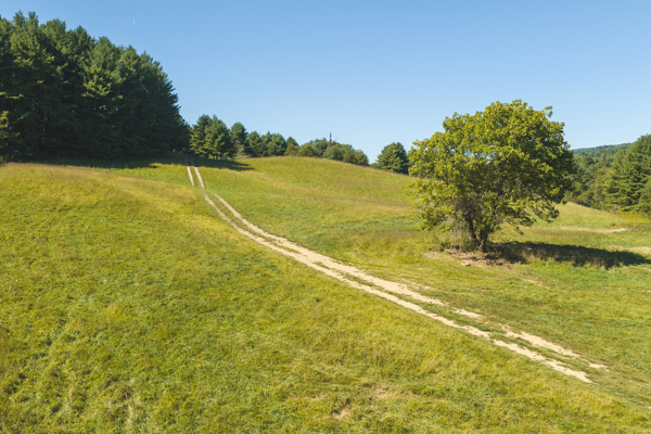 Large Recreational Tract for Sale in Bent Mountain VA