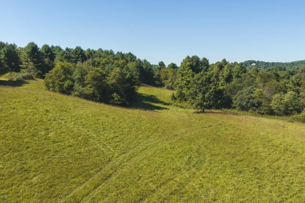 Large Recreational Tract for Sale in Bent Mountain VA