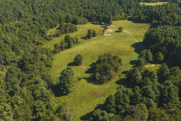 Large Recreational Tract for Sale in Bent Mountain VA