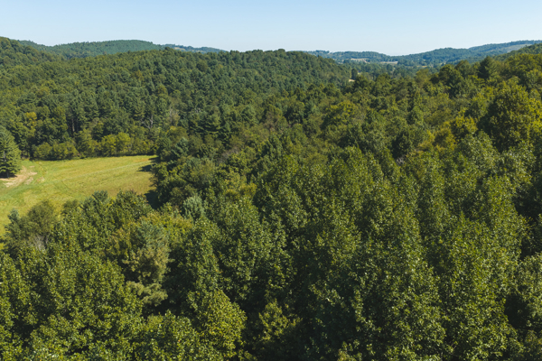 Large Recreational Tract for Sale in Bent Mountain VA