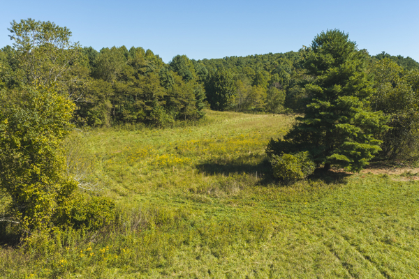 Large Recreational Tract for Sale in Bent Mountain VA