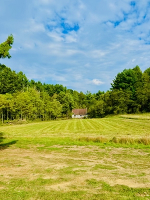 Large Recreational Tract for Sale in Bent Mountain VA