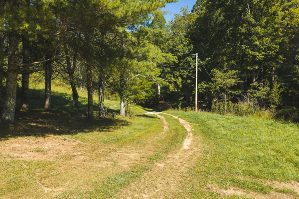 Large Recreational Tract for Sale in Bent Mountain VA